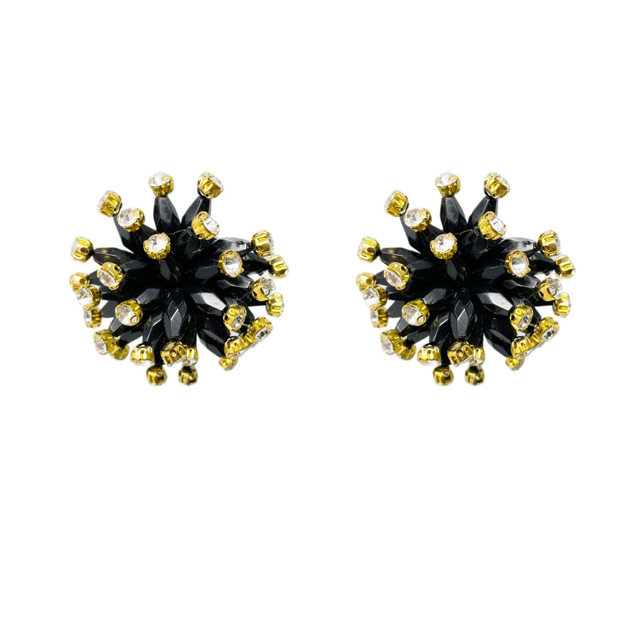 Polished Astroid Earrings